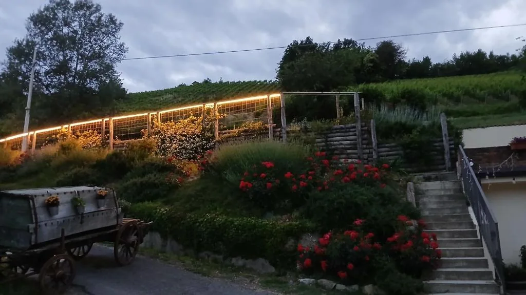 1929 Wine Food Relax Agriturismo — foto 8
