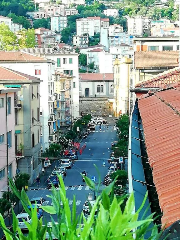 Affittacamere ELVI — foto 6