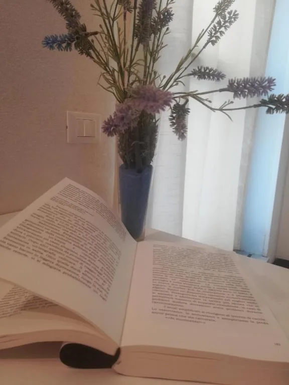 Affittacamere le oche — foto 5