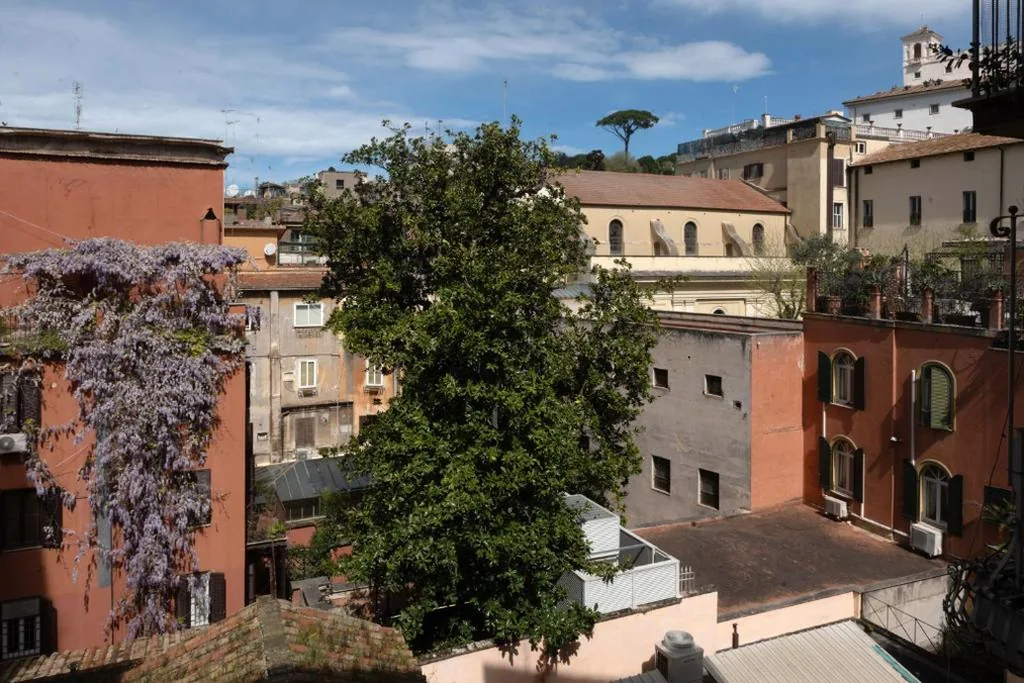 AGH Babuino — foto 5