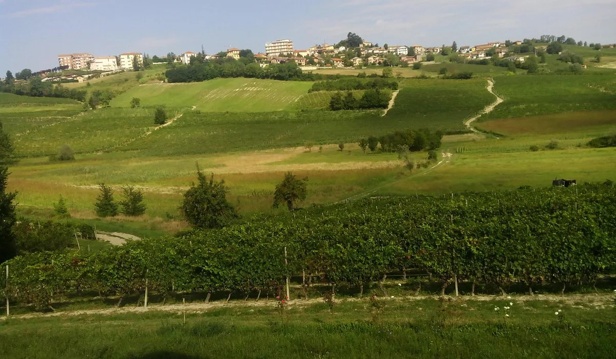 Le colline di Agliano Terme nel Monferrato, tra i vigneti