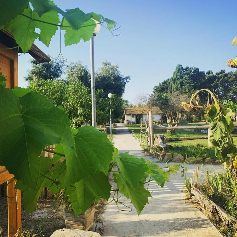 Agriostello Riparo — foto 6