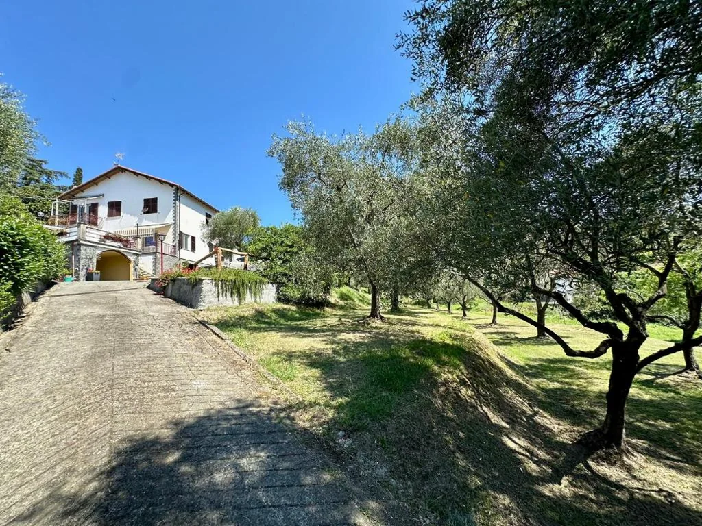 Agriturismo Uliveto Bartolomeo