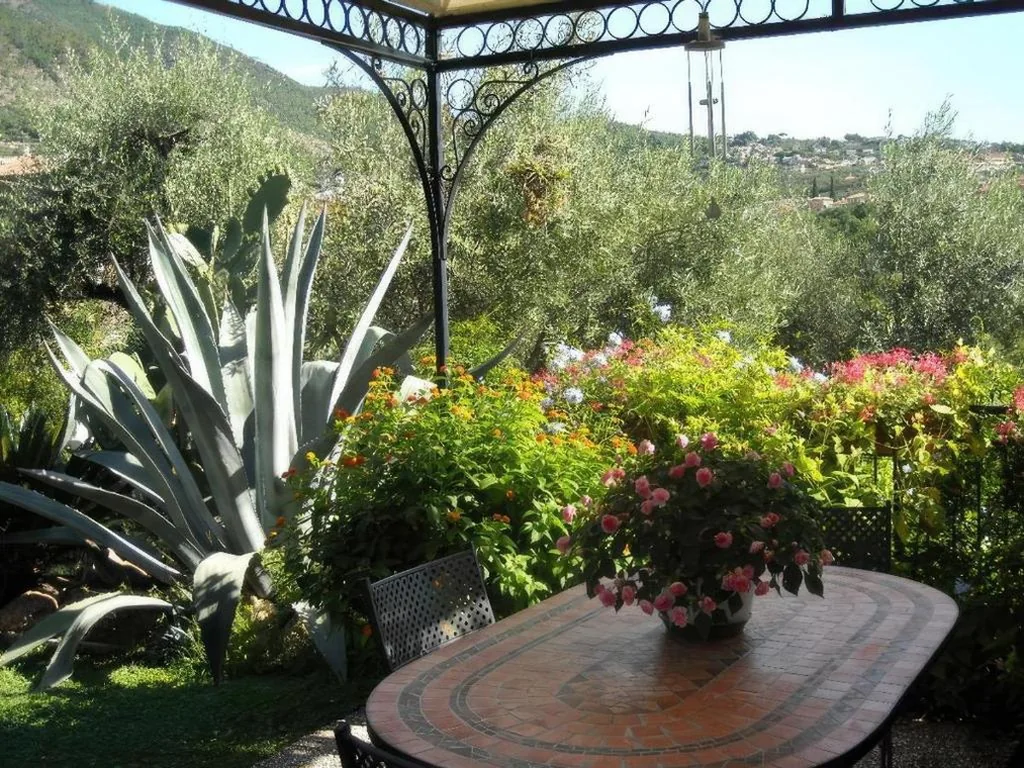 Agrodolce — foto 4