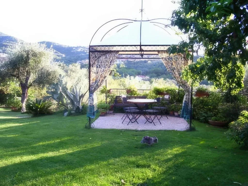 Agrodolce — foto 7