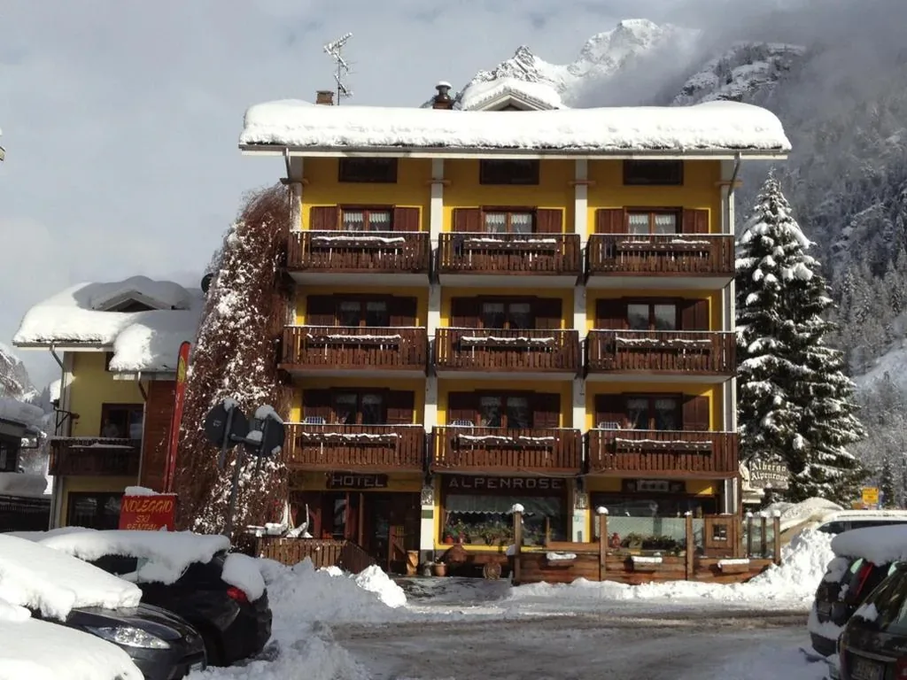 Albergo Alpenrose Ski&Bike Mountain Hotel — foto 4
