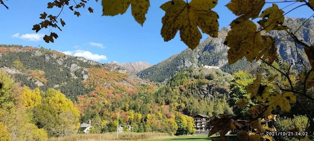 Albergo Croce Bianca — foto 5