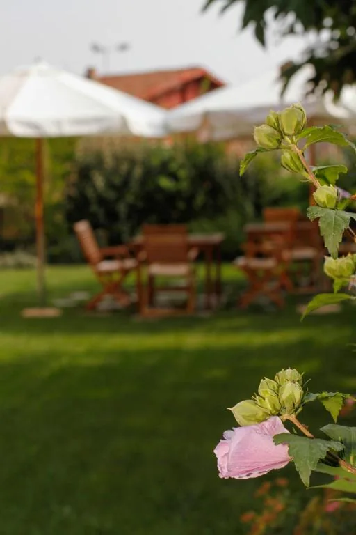 Albergo della Ceramica — foto 6