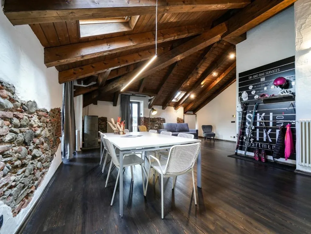Alp Apartments SKI & BIKE – Vevey23 — foto 3