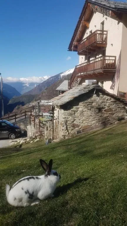 Alpe Rebelle — foto 7