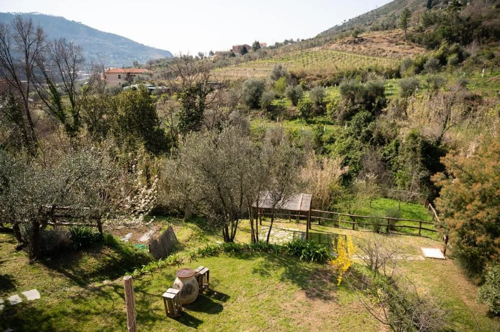 Amandolevanto B&B — foto 5