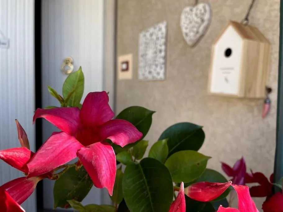 Annali Casa vacanze – Shabby style nella natura — foto 7