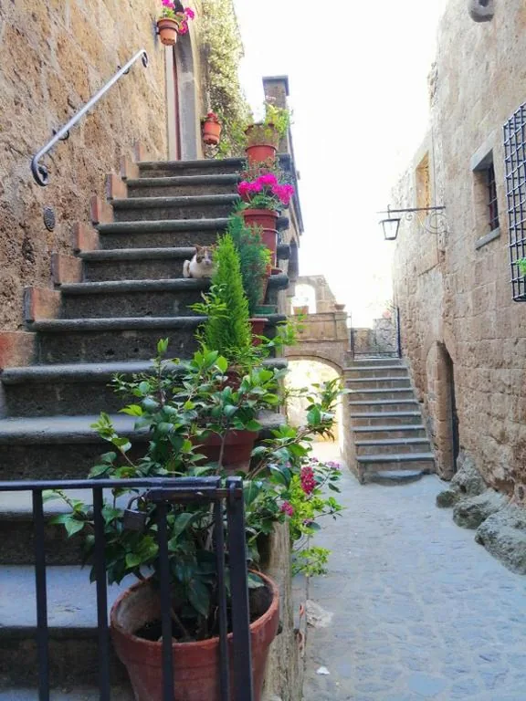 Antico Borgo — foto 6