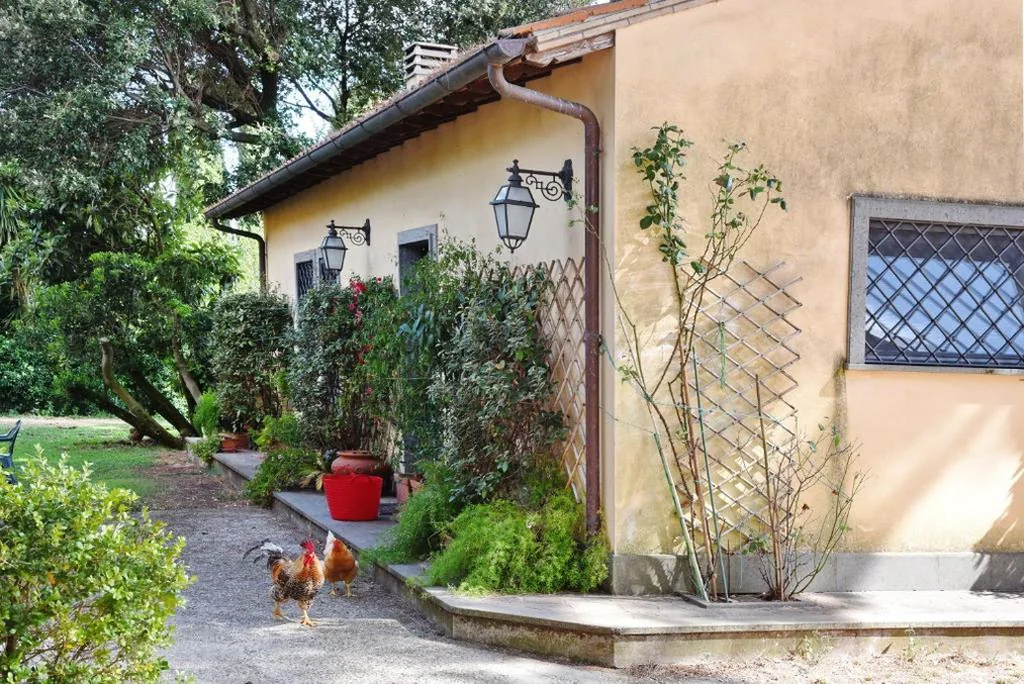 Appartamento con 1 Camera da Letto — Casa Vacanze Vigna di Valle