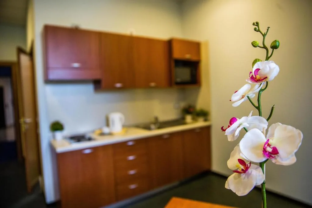 One-Bedroom Apartment — Hotel Glis