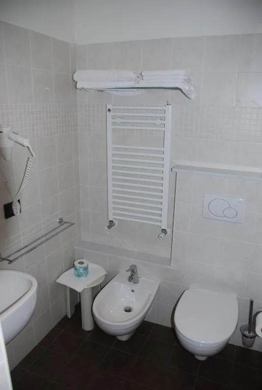 Appartamento con 1 Camera da Letto - Mansarda — Hotel Primula