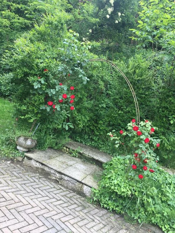Appartamento con Terrazza — Rossella alla Villarella dei Tulipani