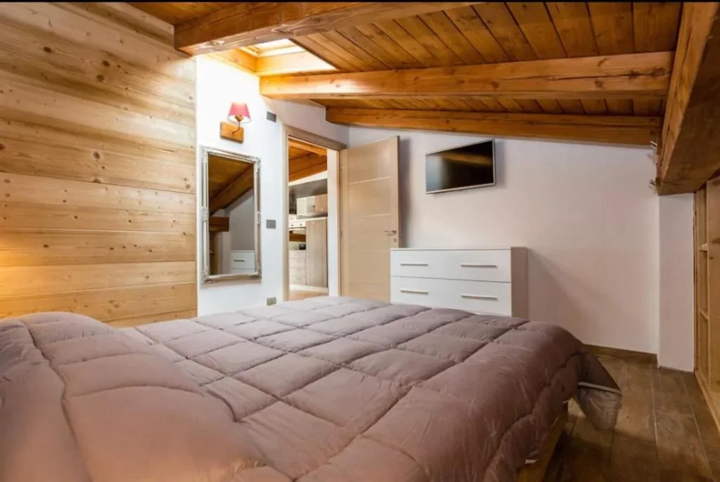 Apartment with Mountain View — Sottosopra Alps Apartments & Rooms Ski & Bike room