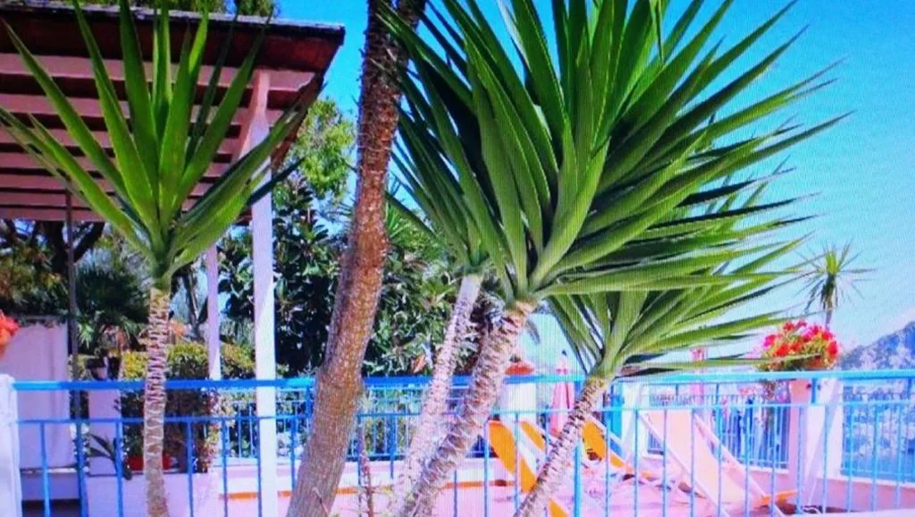 Deluxe Apartment — L’Incanto di Cala Feola