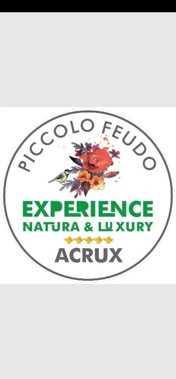 Appartamento Superior con Balcone — Piccolo Feudo Green Resort