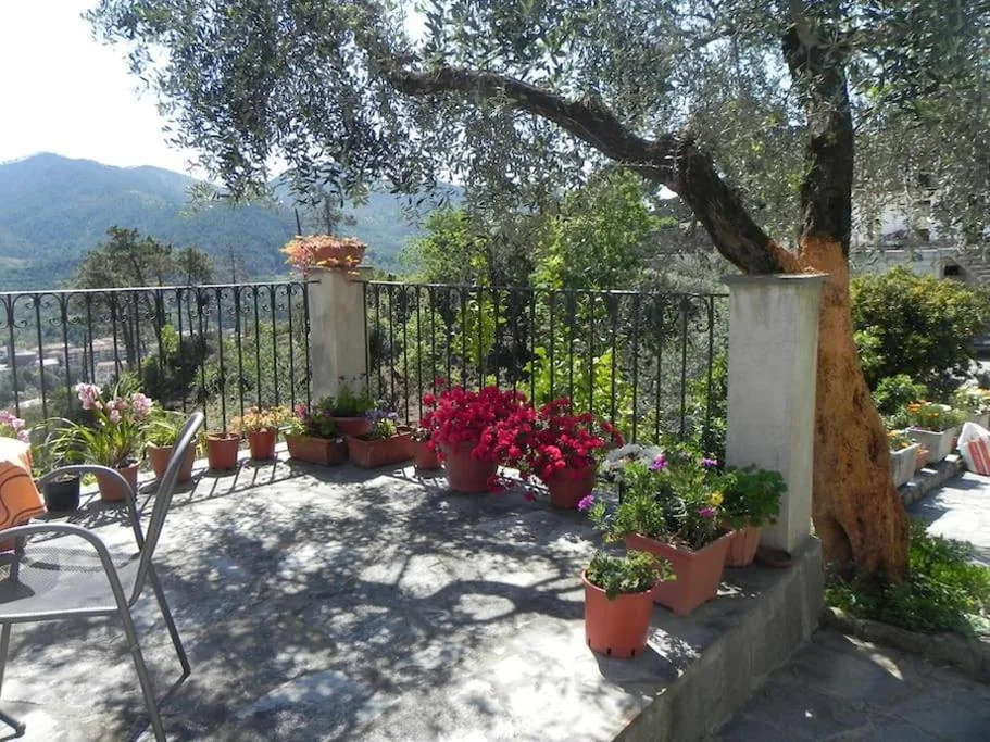 azienda agricola zulin casa elena — foto 7