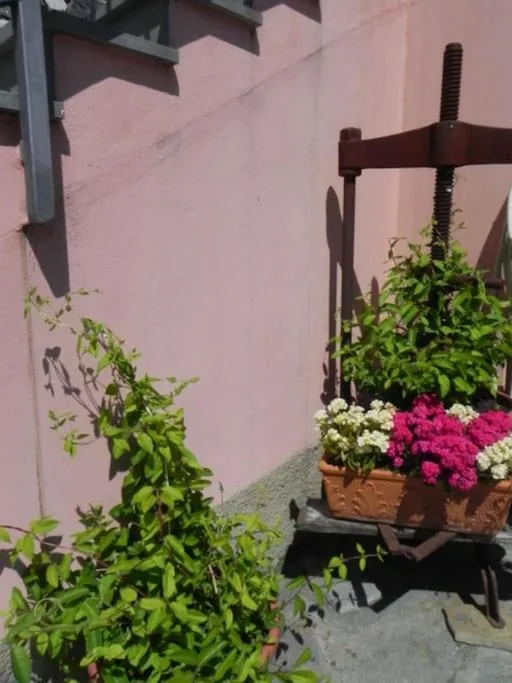 azienda agricola zulin casa elena — foto 8