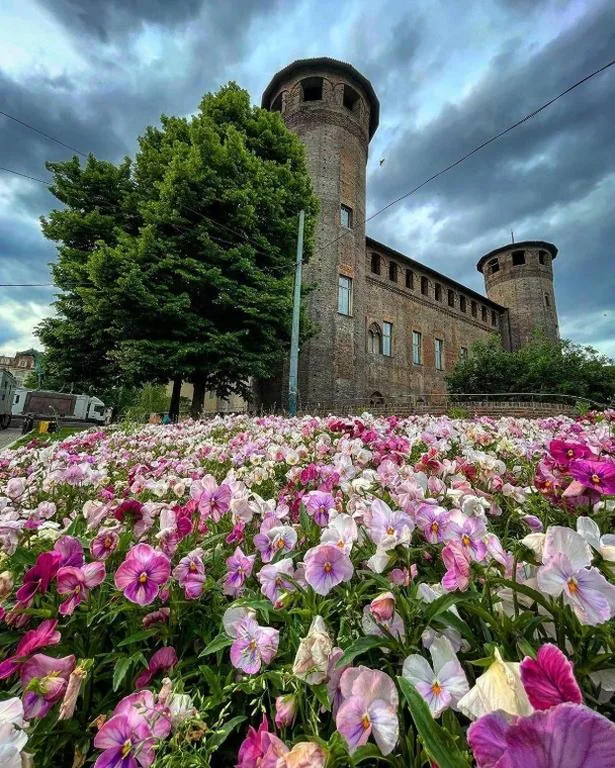 B&B Carlo Alberto — foto 4