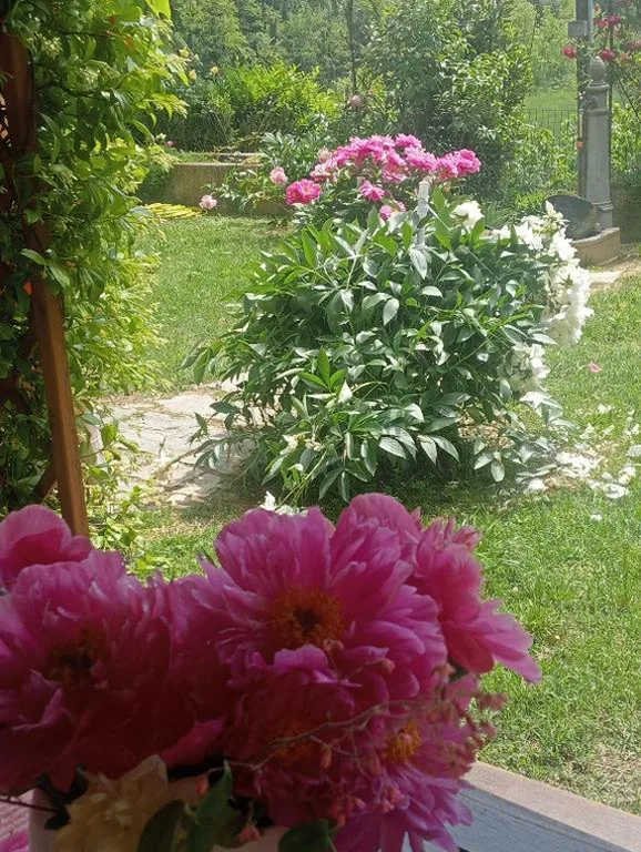 B&B Cascina Ciapilau — foto 3