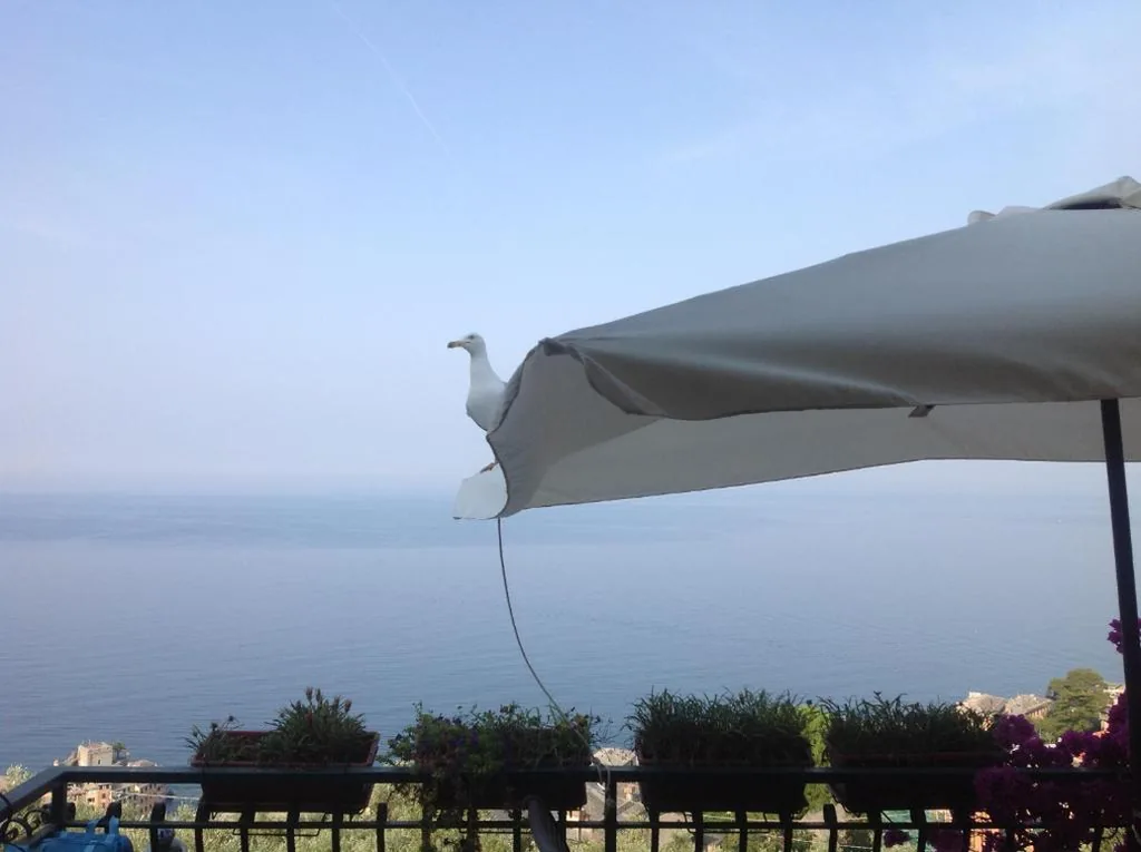B&B Case Rosse — foto 6