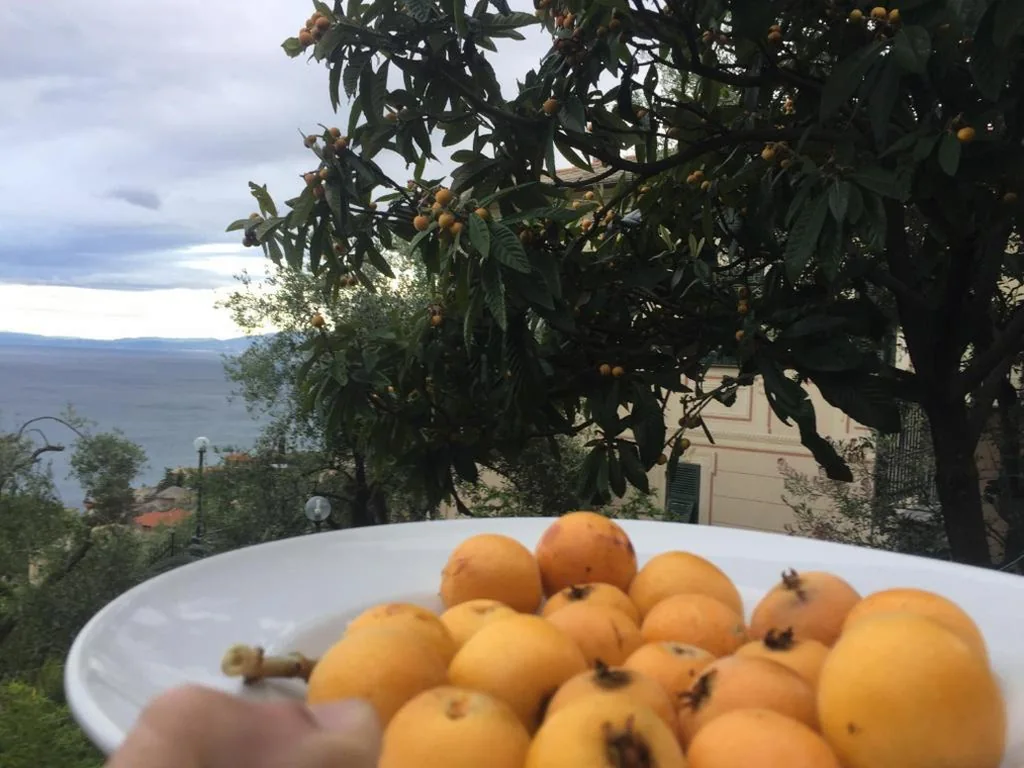 B&B Case Rosse — foto 8