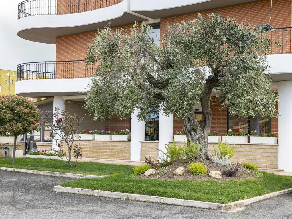 B&B HOTEL Pomezia Cortese — foto 4