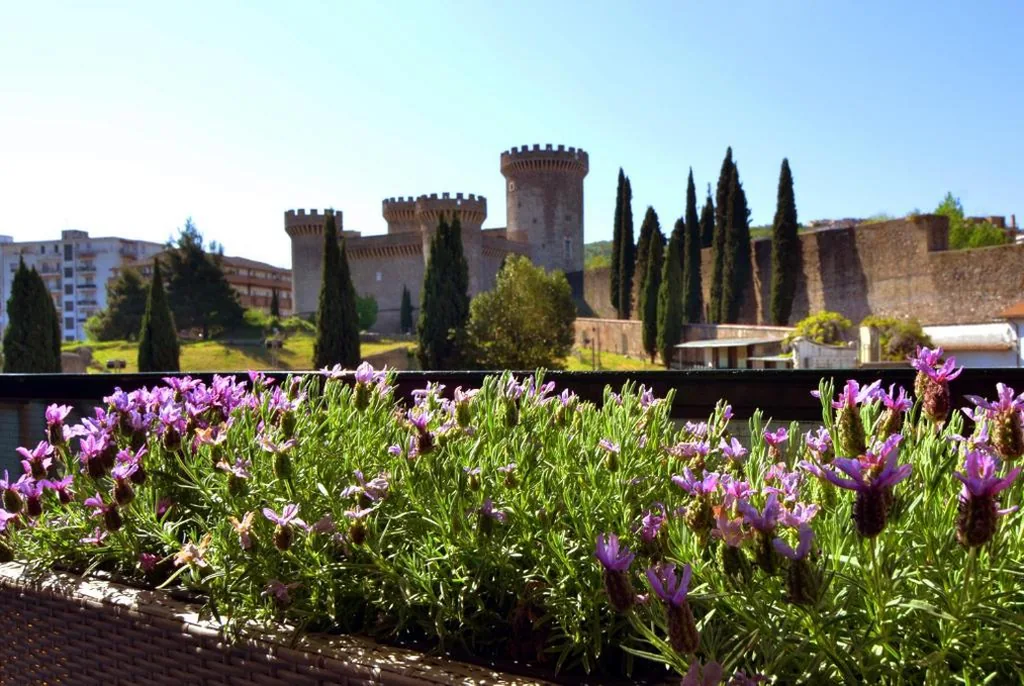 B&B Il Castello — foto 6