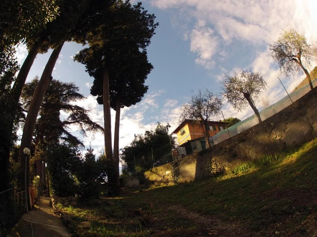 B&B Il Cedro — foto 8