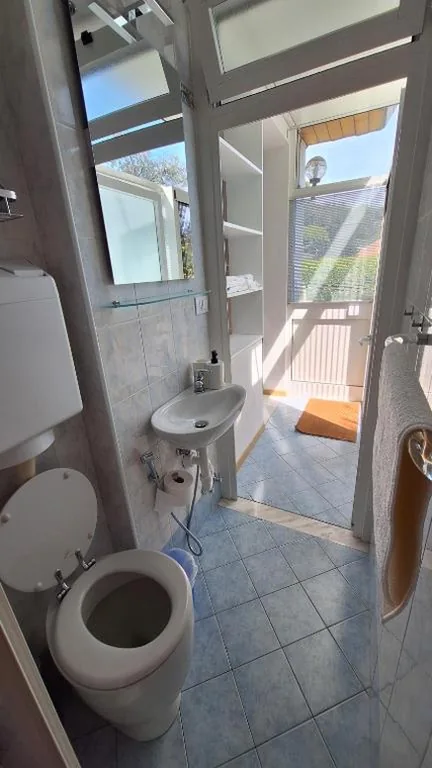 B&B Jungle Baita — foto 6