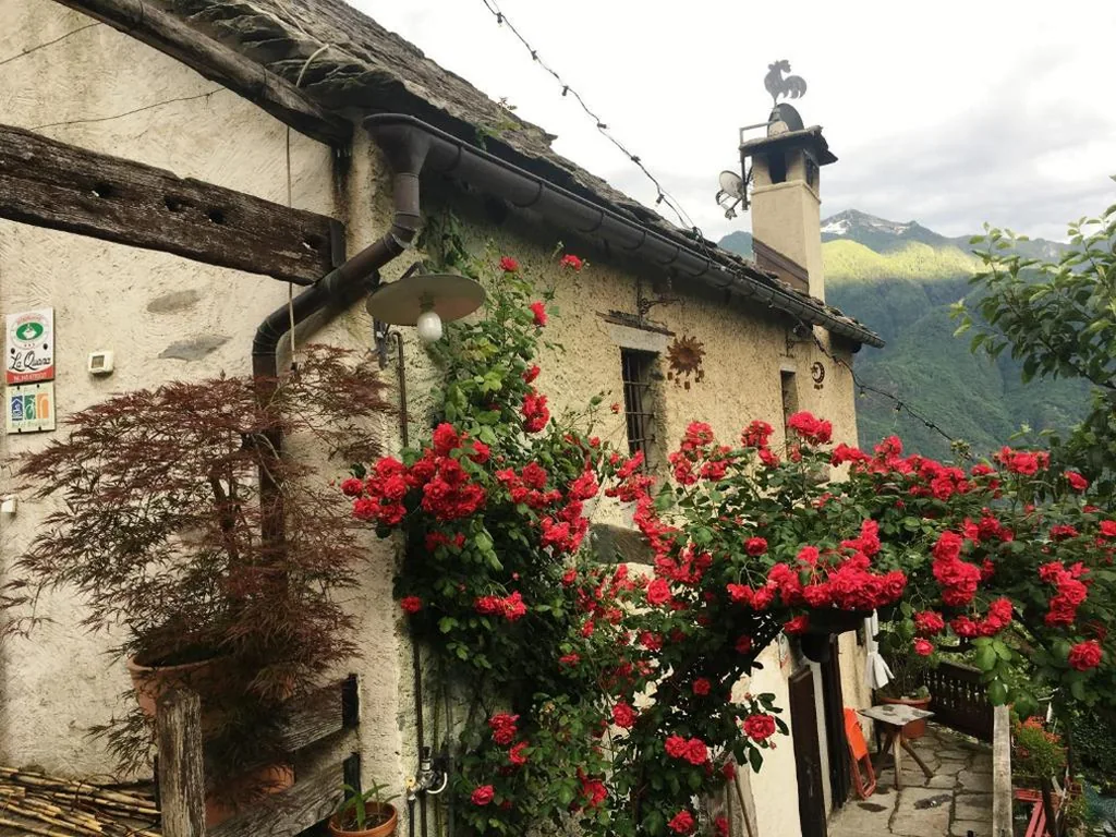 B&B La Quana — foto 5