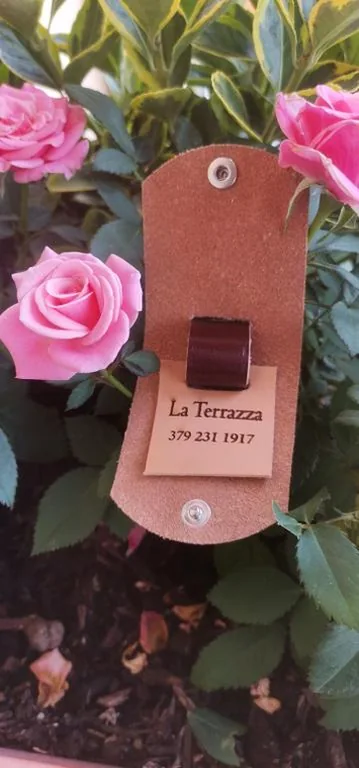 B&B La Terrazza