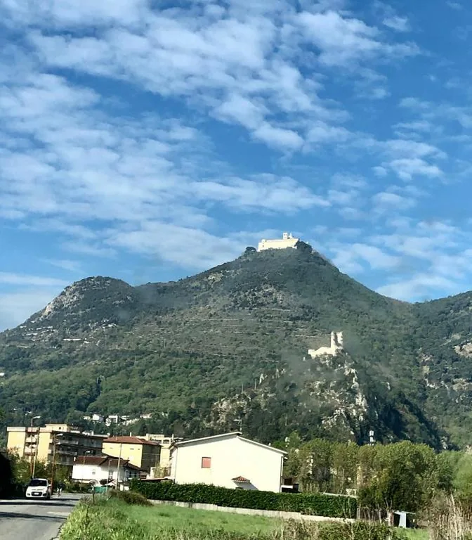 B&B Le Palme — foto 6
