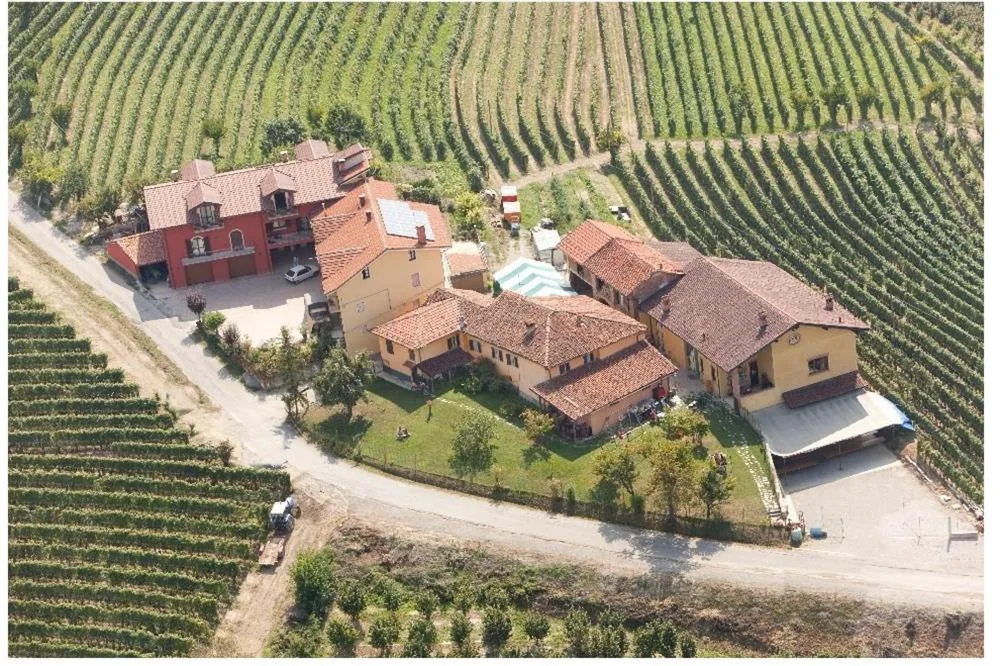 B&B Rumanot — foto 4