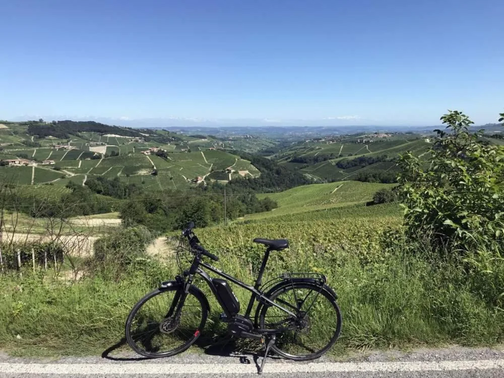 B&B TERRA DI COLLINA Relais — foto 5