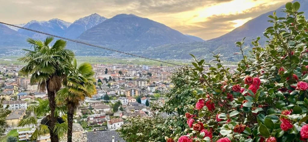 B&B Villa Moro — foto 4