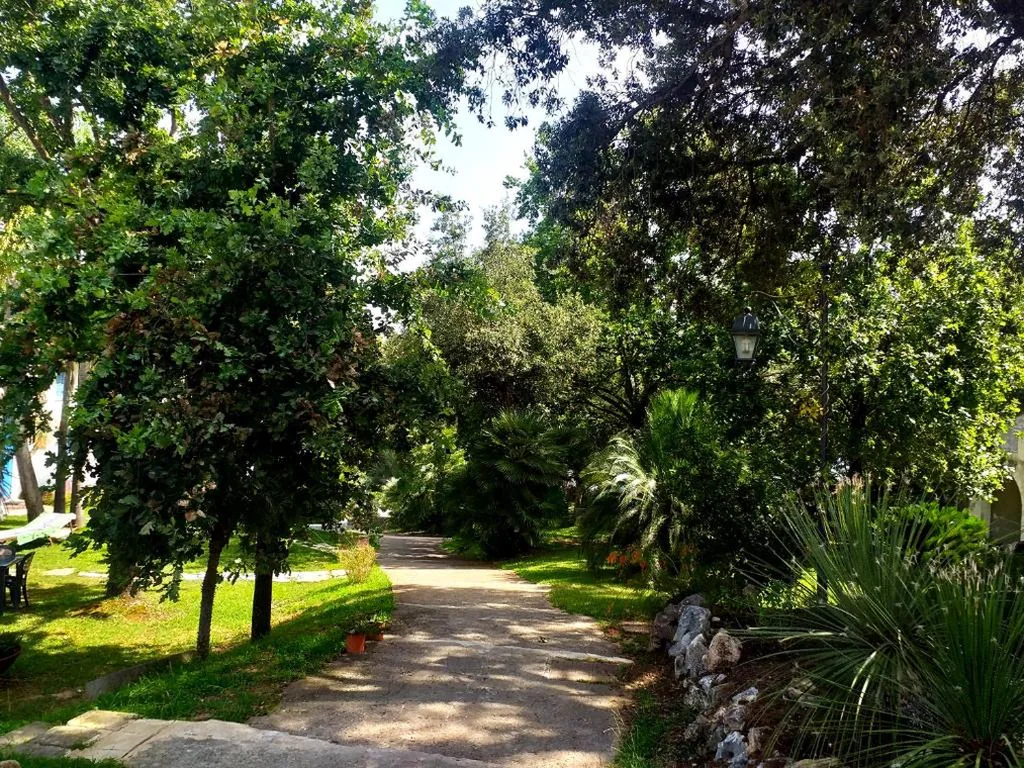 Baia D’Oro — foto 6