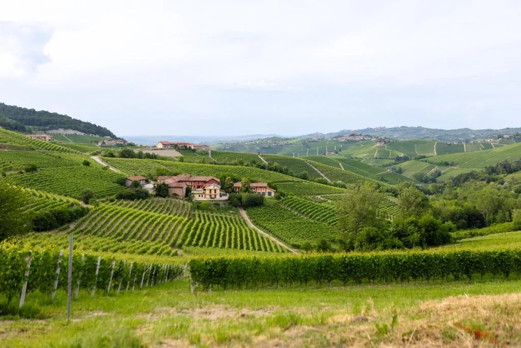 Be Langhe in Monforte – Camere di Cascina — foto 6