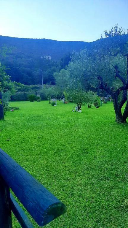 Bed and Breakfast della Regina… — foto 3