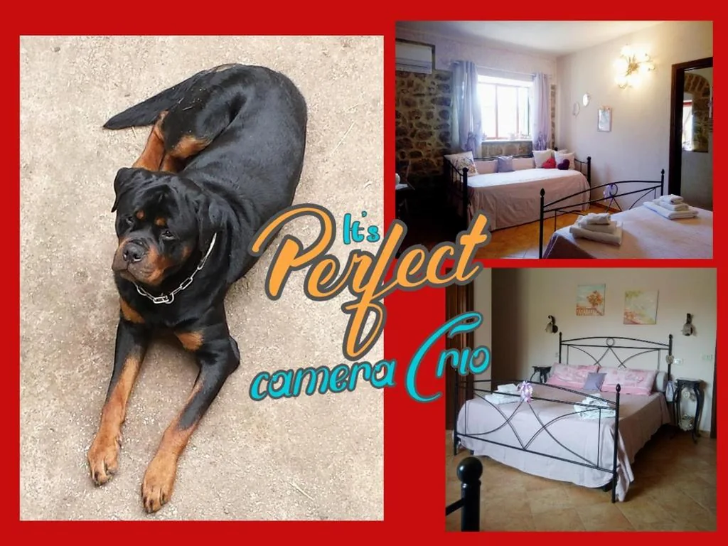 Bed and Breakfast della Regina… — foto 4
