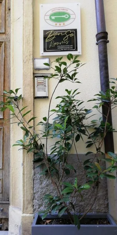 Benso Rooms — foto 6