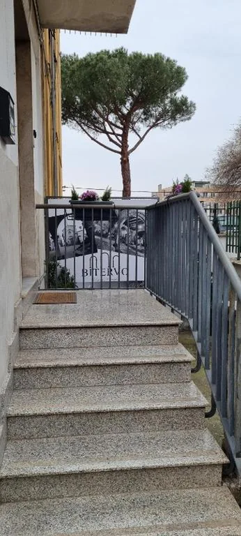 BITERVO — foto 5