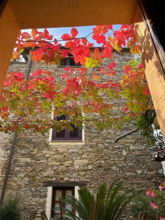 Borgata Cantone Country House B&B — foto 5