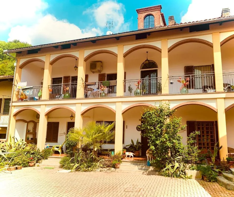 Bouganville — foto 5