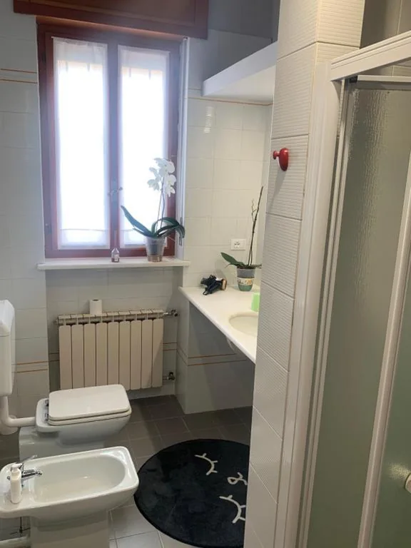 Bouganville — foto 7