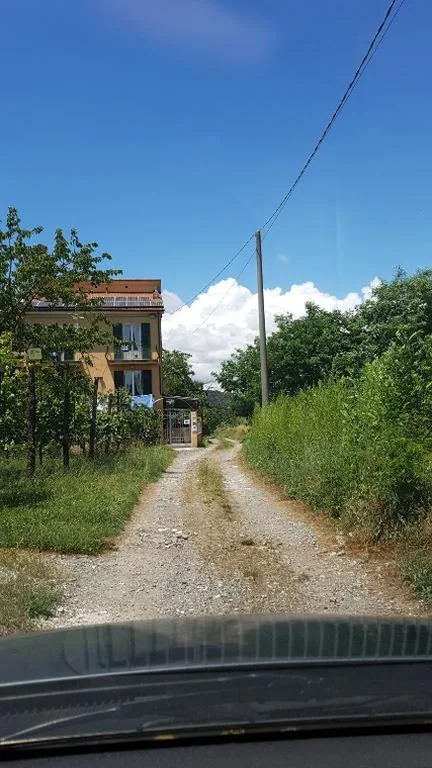 Buio Pesto